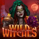 Ігровий автомат Wild Witches: Особливості та виграшні символи – огляд бонусних опцій